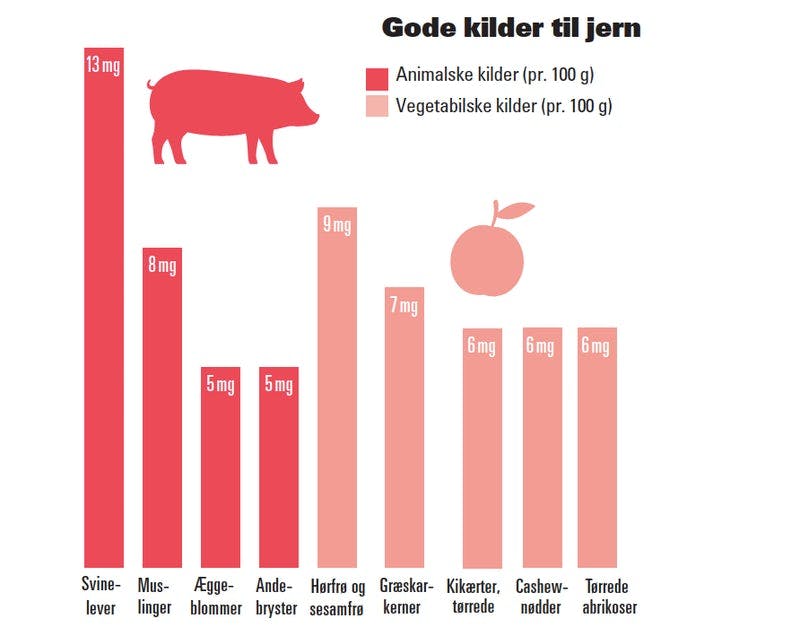 Graf kilder til jern