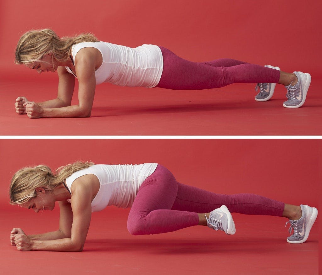 Lankku ja polvennosto