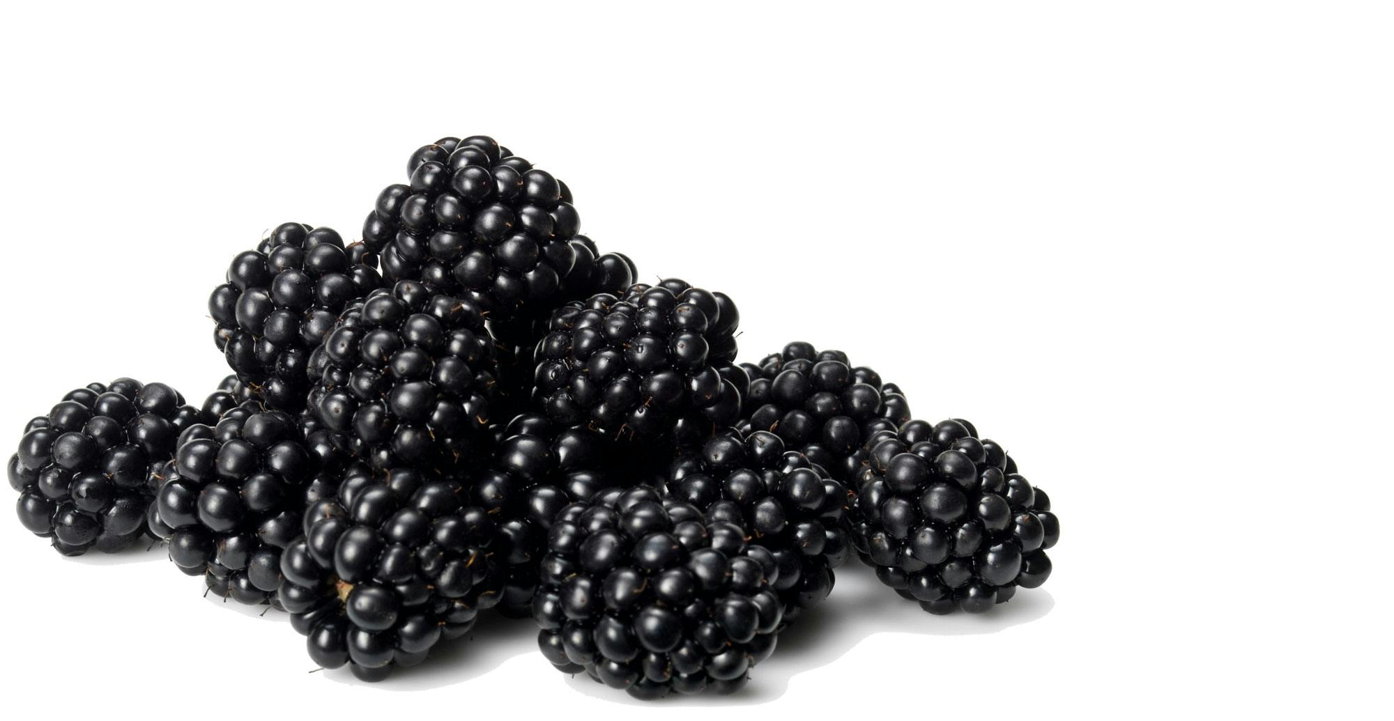 100 g björnbär innehåller 6 mg E-vitamin.