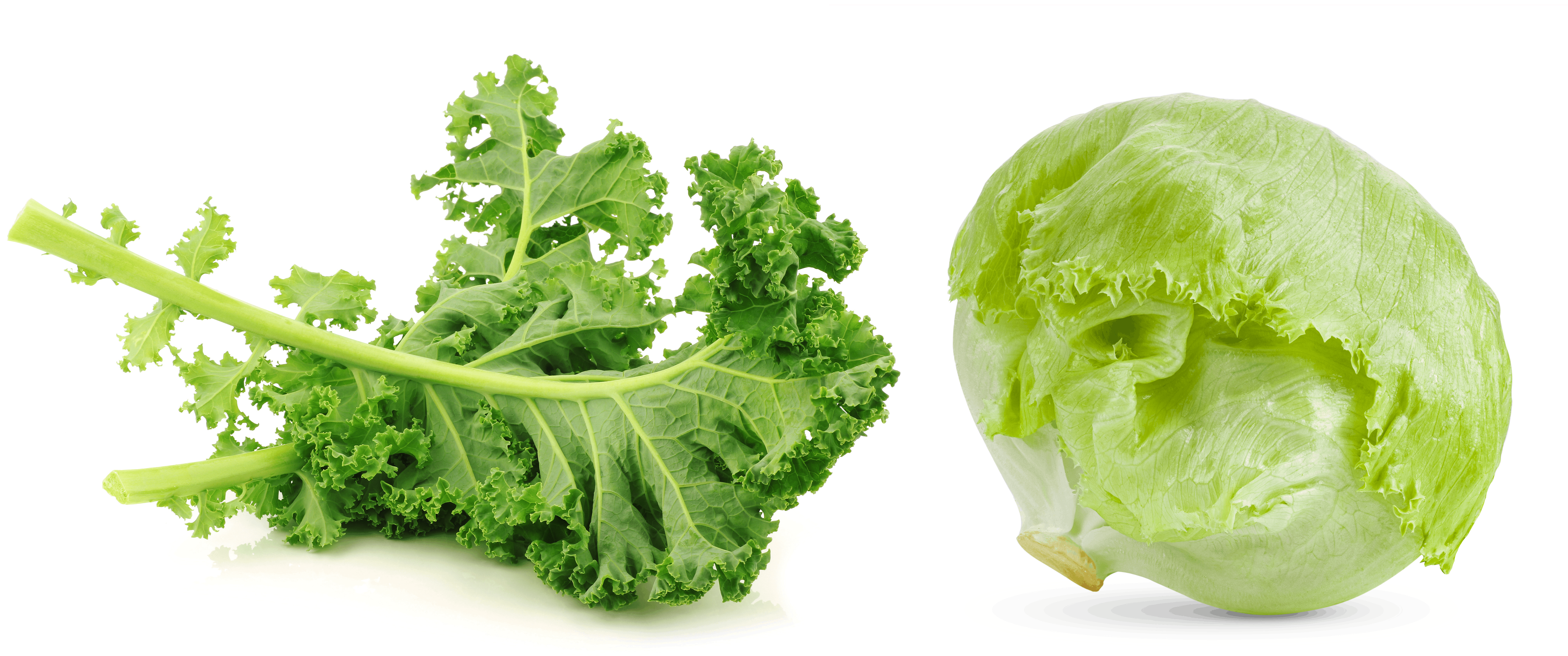 Grønnkal og isbergsalat