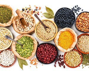 Proteinrika livsmedel - fisk, ägg, bönor, nötter, kikärtor - hur mycket protein behöver du?