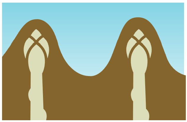 illustration-vit-sparris