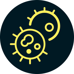 OCD kan vise sig som angst for snavs og smitte _NO