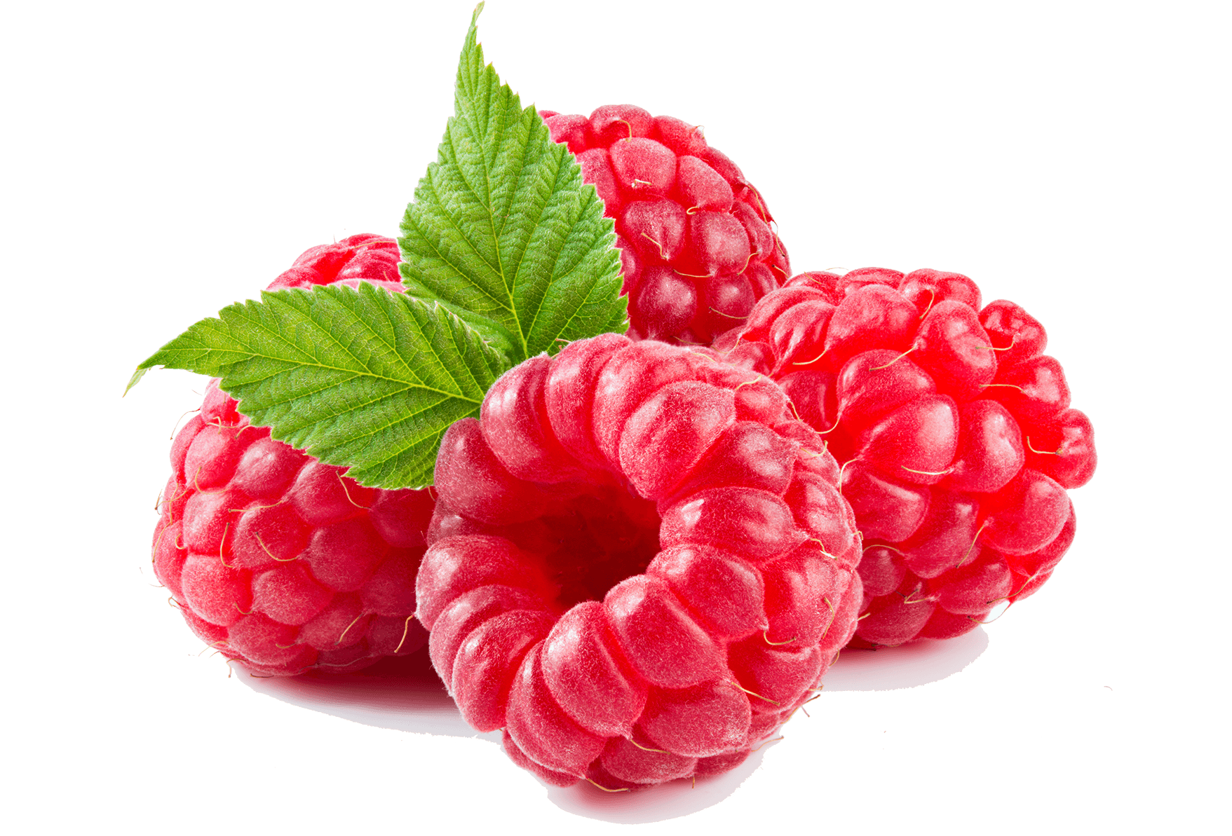 Tuoreita vadelmia ja kaksi vadelman lehteä