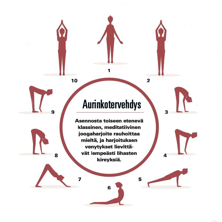 Aurinkotervehdys Aurinkotervehdys