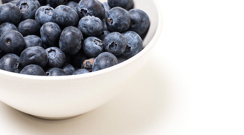 Skål med färska blåbär – och ett mögligt
