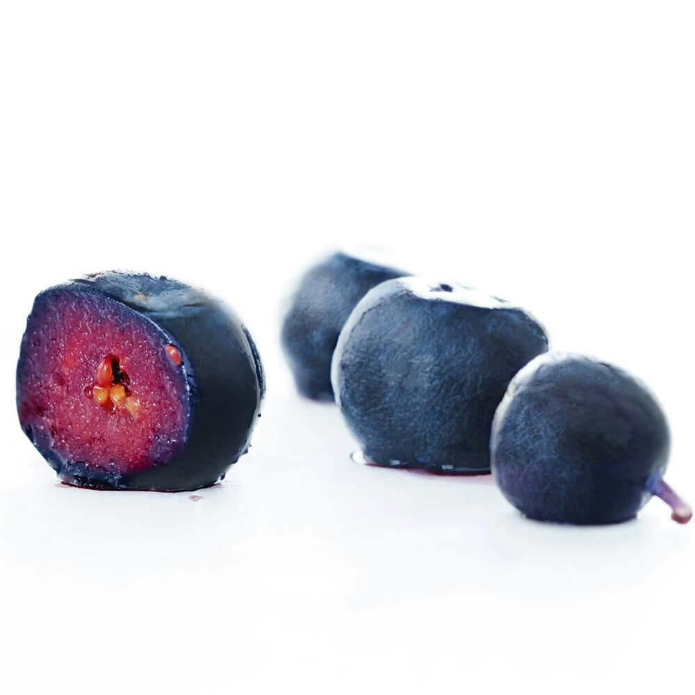 Vilda svenska blåbär