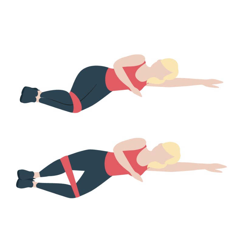 Illustrasjon av sideliggende skjell med strikk