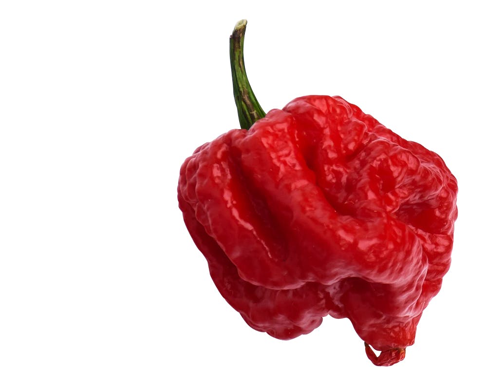 Carolina reaper, VAHVA chili