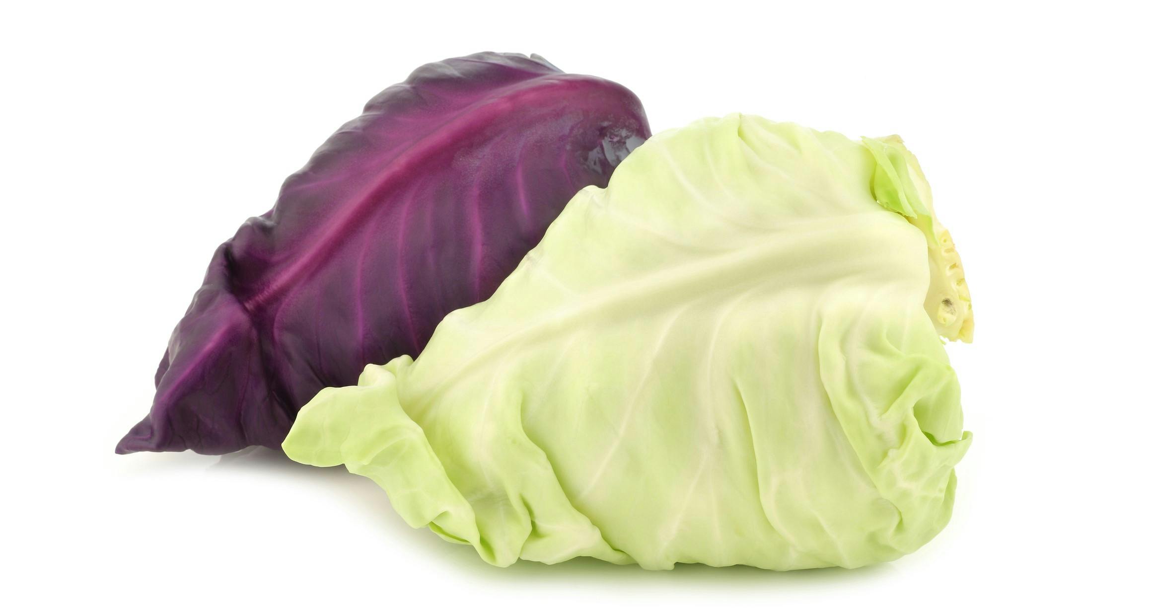 Röd och grön spetskål