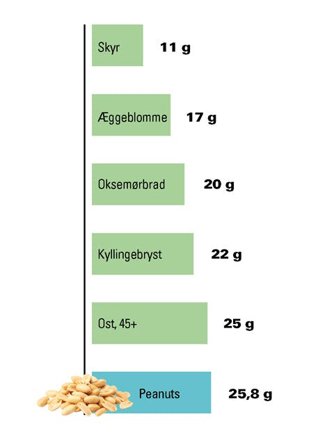 Grafisk liste over proteinbomber , bl.a. peanuts