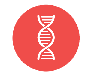 Vaivaisenluut periytyvät