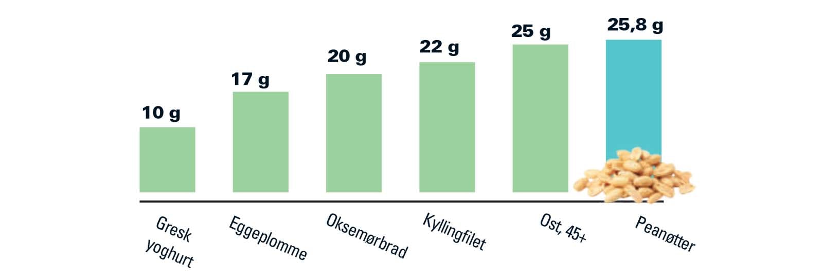 Proteinkilder - peanøtter - NO