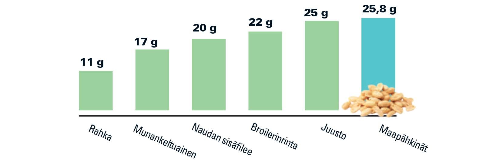 Erinomaisia proteiinilähteitä