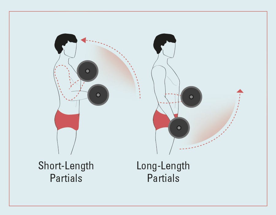 Kuva siitä, milloin kuormitus on suurimmillan käsipainoilla treenatessa.