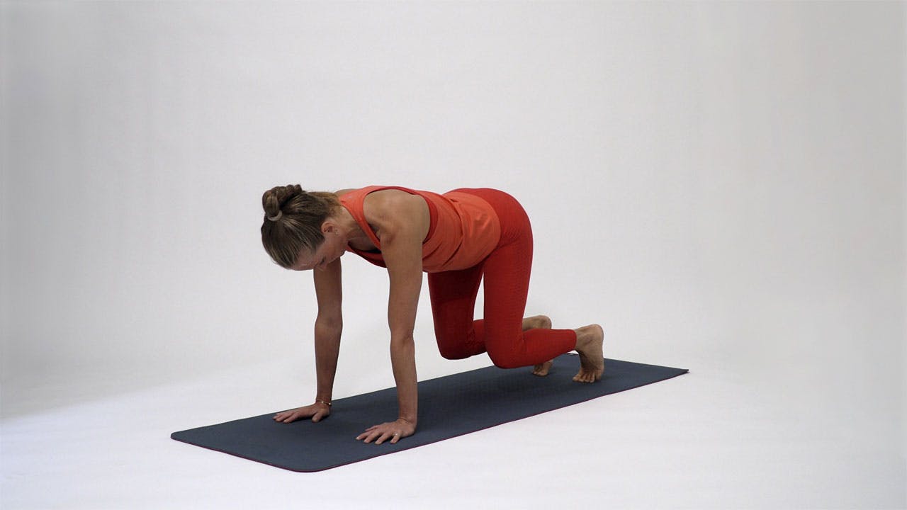 Dobbelt knæløft på alle fire Kvinde træner delte mavemuskler