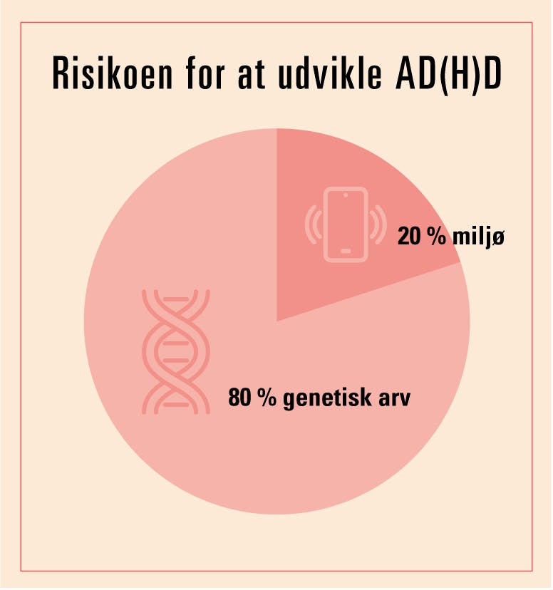 Cirkeldiagram over risikoen for at udvikle ADHD