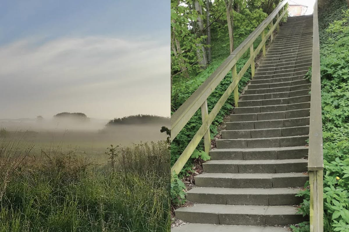 Foto af mark og trappe fra Ann LKenas løbe- og gåture