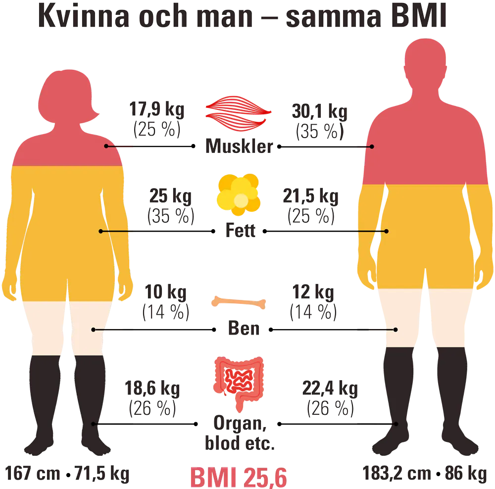Bild som visar en kvinna och en man med samma BMI – visar typisk kroppssammansättning med till exempel fettprocent och muskelmassa.