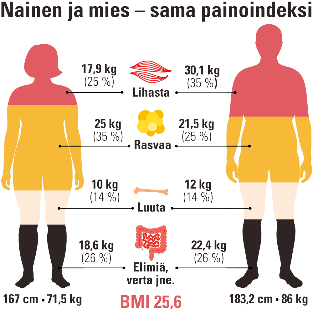 Piirroskuvassa nainen ja mies, joilla on sama painoindeksi– esittää tyypillisen kehon koostumuksen, esimerkiksi rasvaprosentin ja lihasmassan