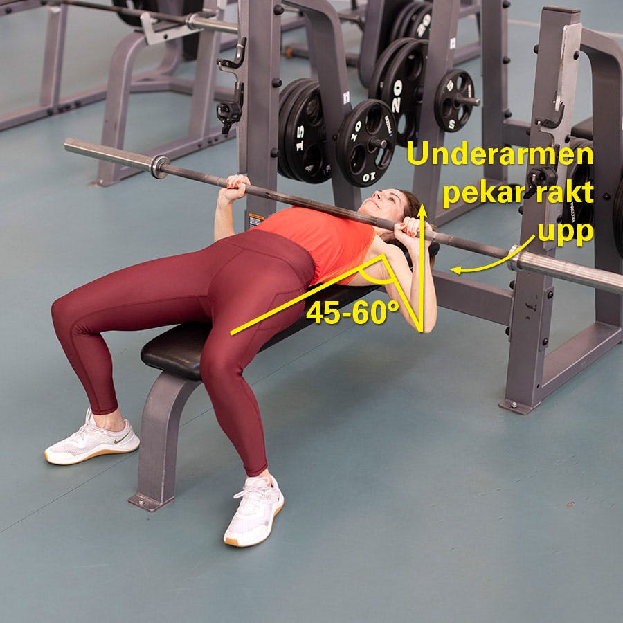Grafik – Hitta rätt bredd på ditt bänkpressgrepp
