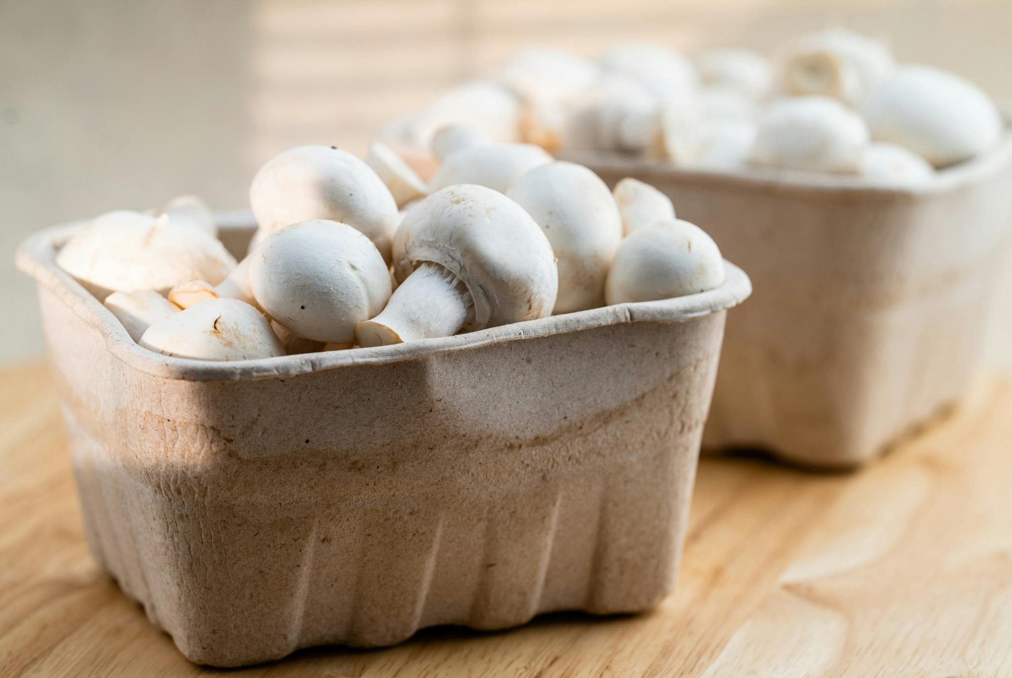 Champignon i pappbeger