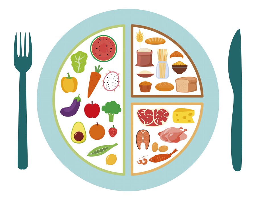 Grafik af tallerken, T-modellen, DASH-anbefalet