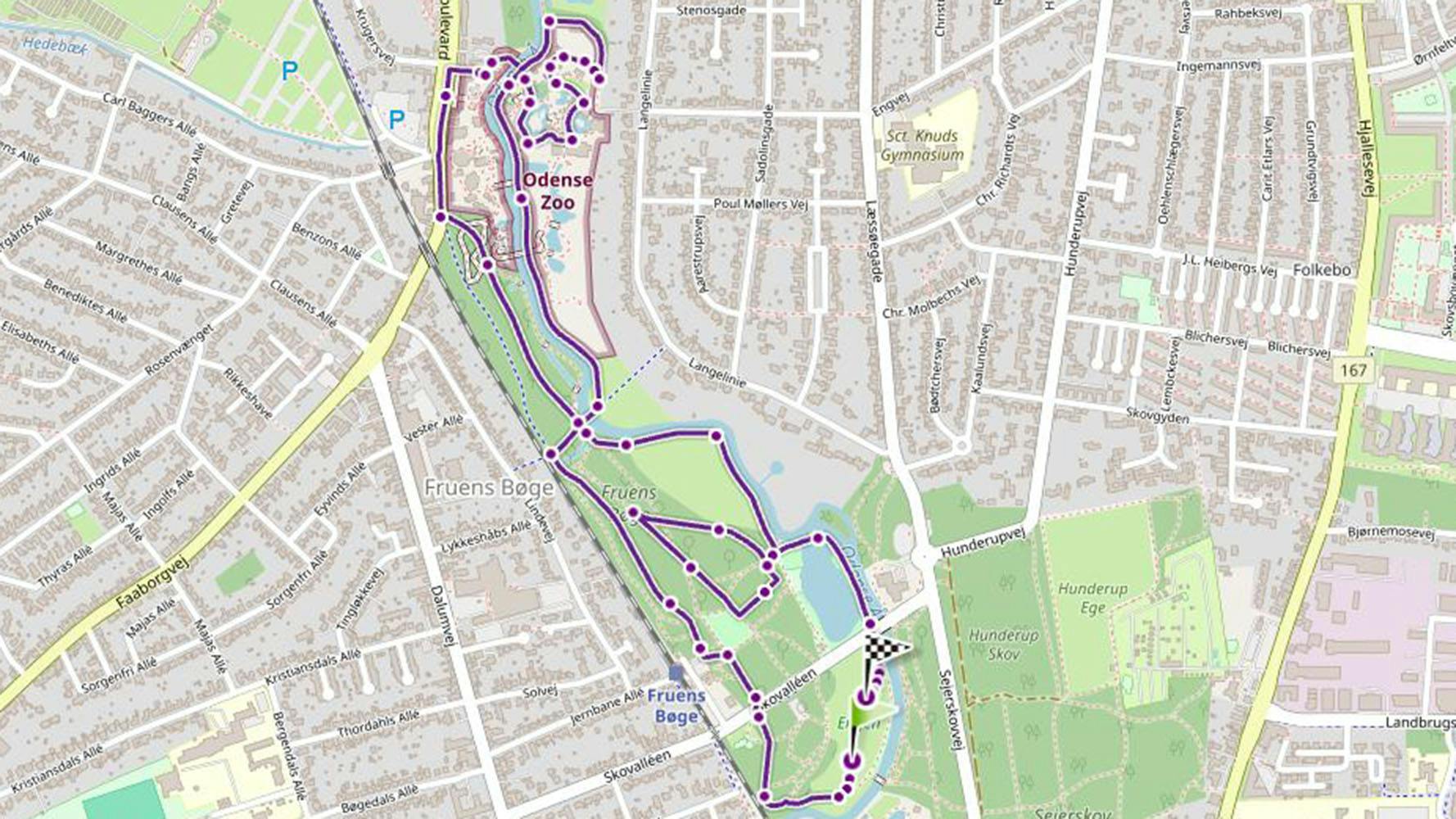Rute til DHL Stafetten Odense