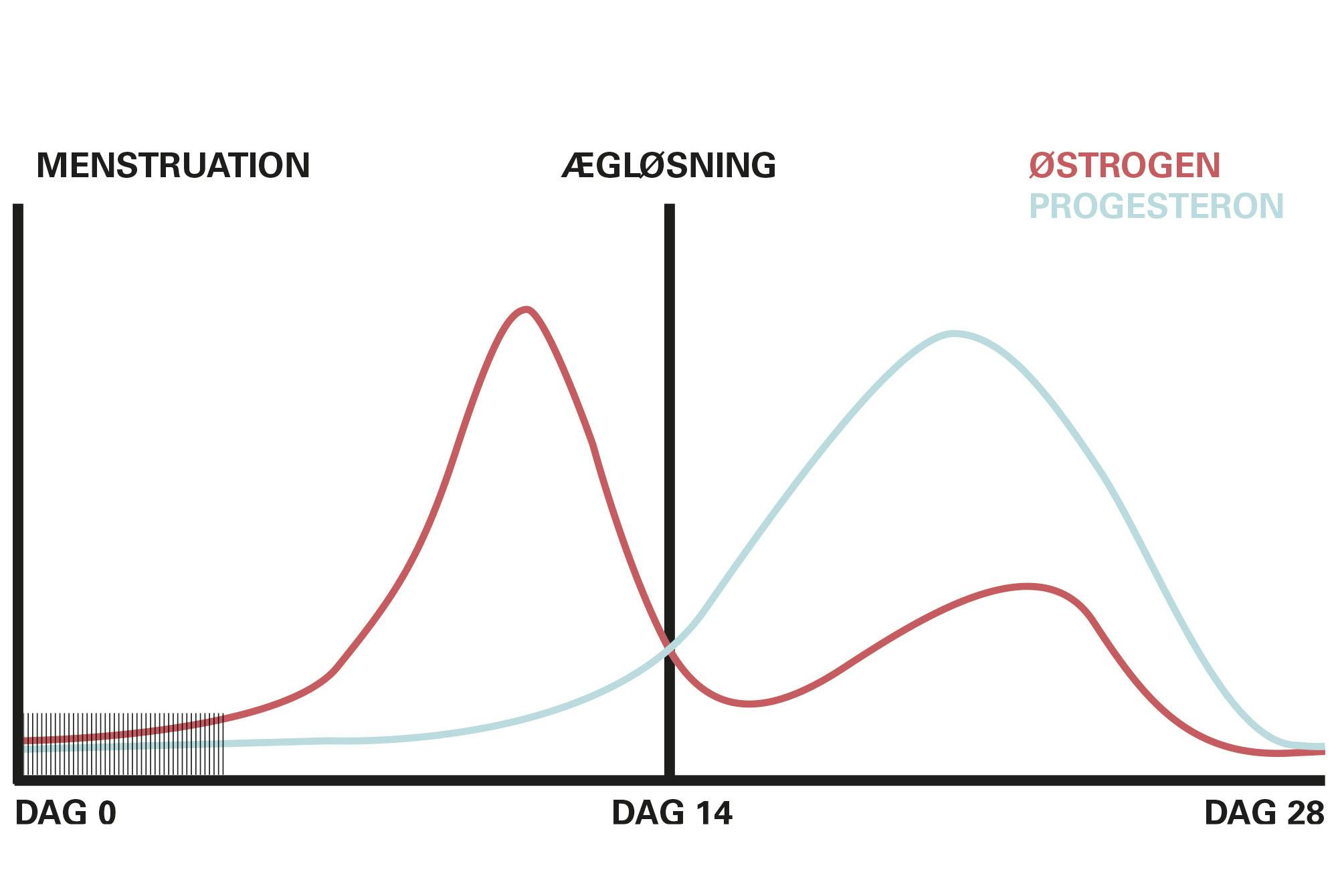Graf over produktionen af kønshormoner gennem menstruationscyklus.