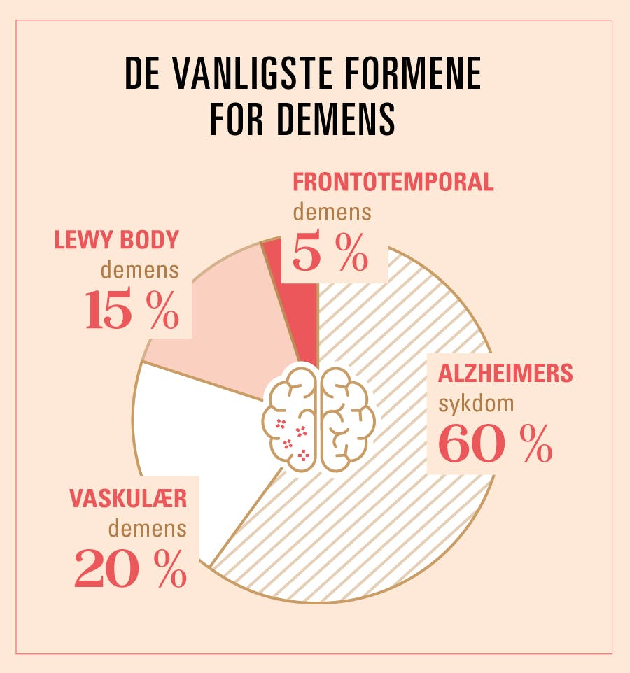 Kakediagram over fordelingen av de vanligste sykdommene