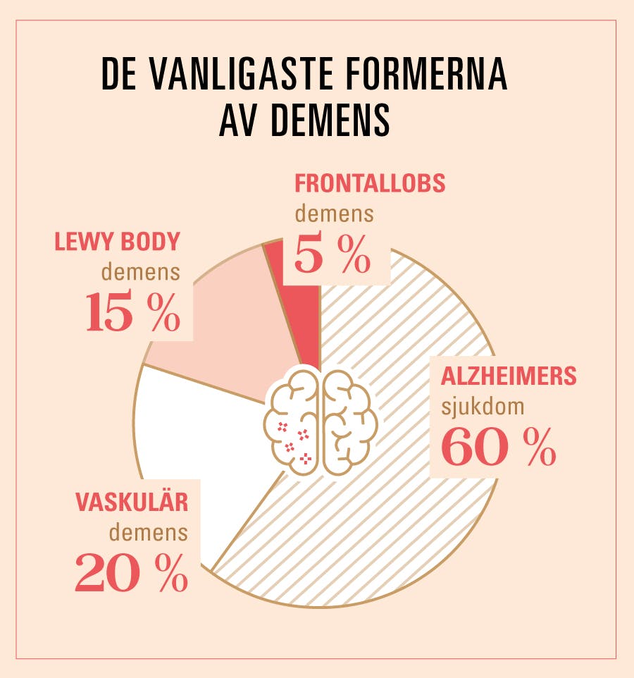 Cirkeldiagram över fördelningen av de vanligaste sjukdomarna