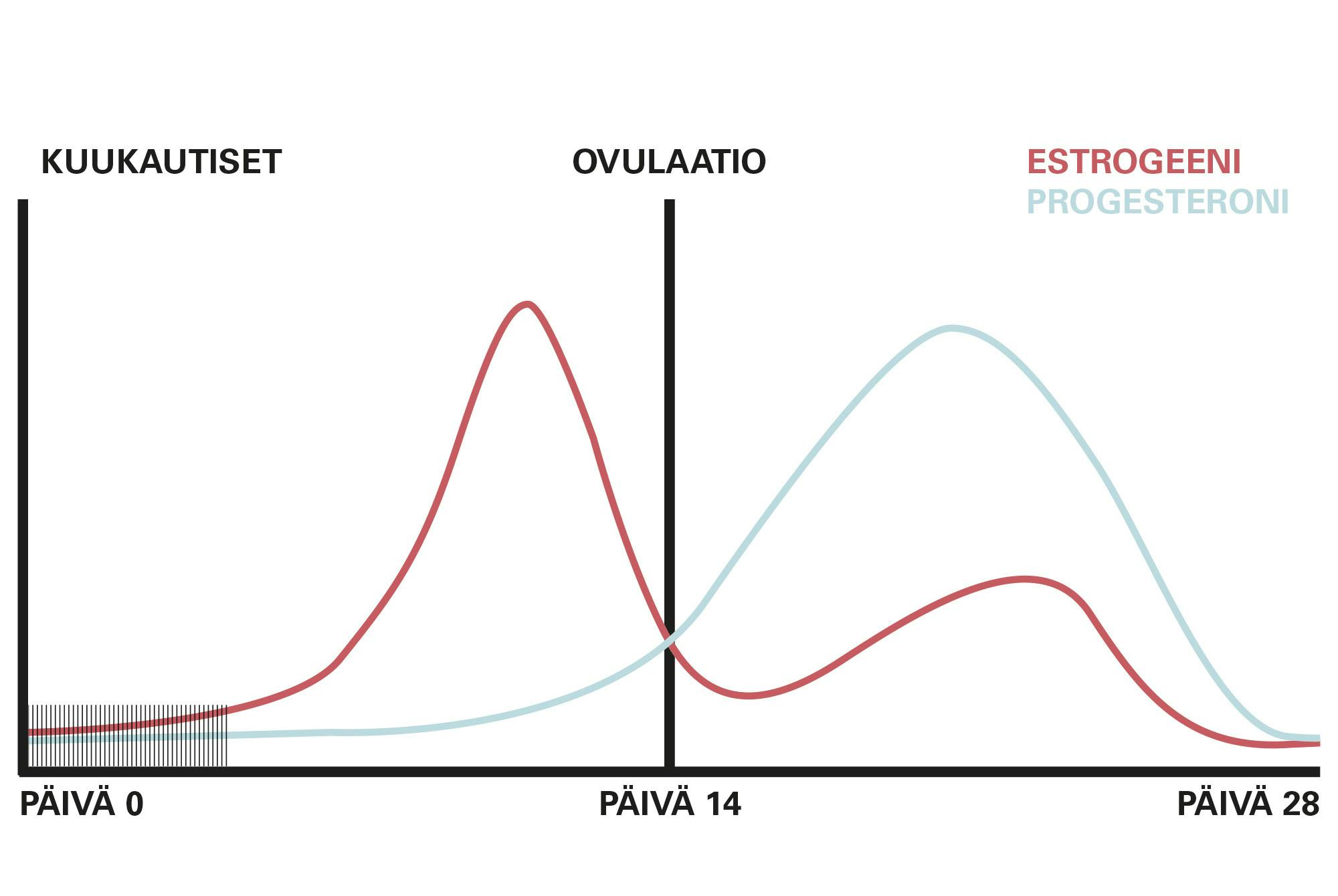 Käyrä sukupuolihormonien tuotannosta kuukautiskierron aikana.