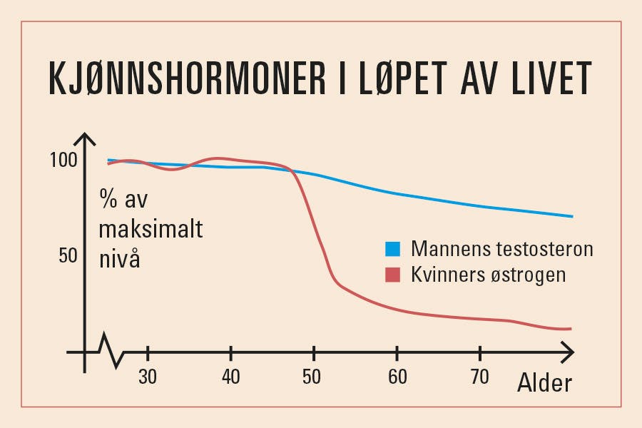Graf over kjønnenes produksjon av kjønnshormoner gjennom voksenlivet