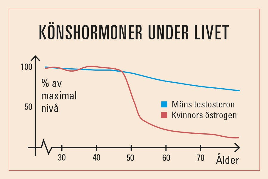 Graf över könens produktion av könshormoner under hela vuxenlivet