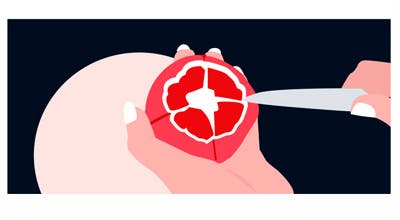 Grafikk med granateple der toppen er skåret av og der det skjæres ned langs de hvite hinnene.