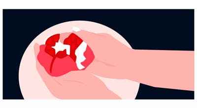 Grafikk med granateple der båtene trekkes til side og de hvite hinnene blir fjernet.