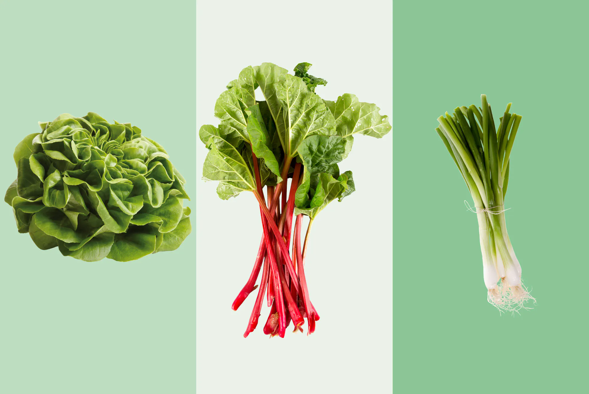 Toukokuun hedelmät ja vhannekset