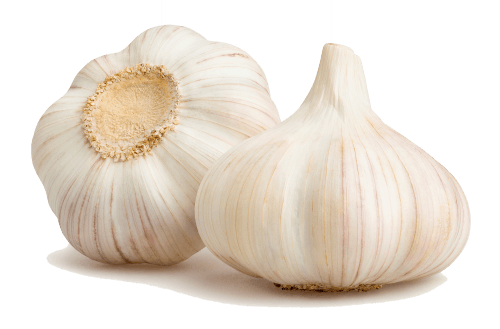 blødnakkede hvidløg