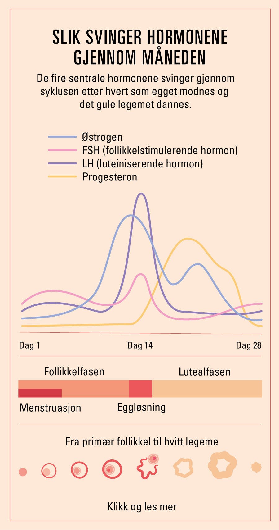 illustrasjon viser hormonelle nivåer i syklusen