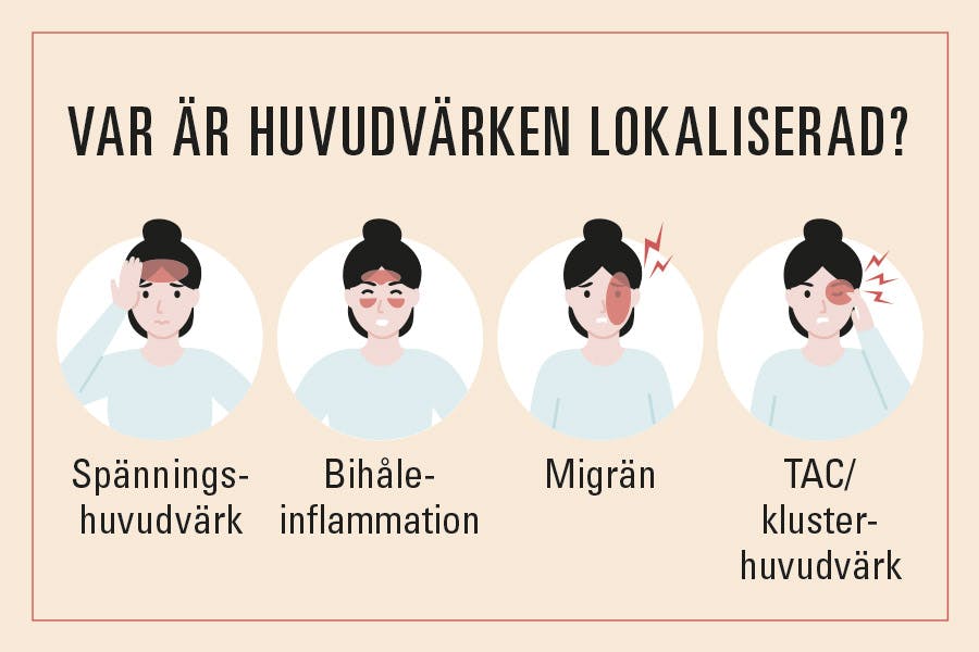 illustration visar var i huvudet smärtan sitter