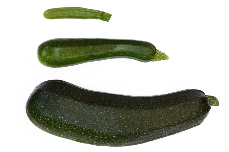 squash i tre størrelser