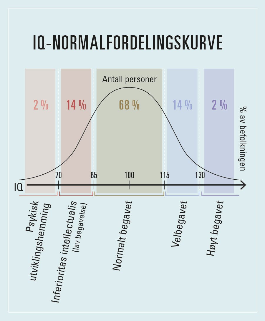 Normalfordelingskurve over intelligenskvotient