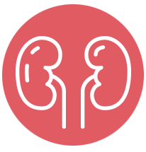 Nyresygdom er årsag til urinsyregigt