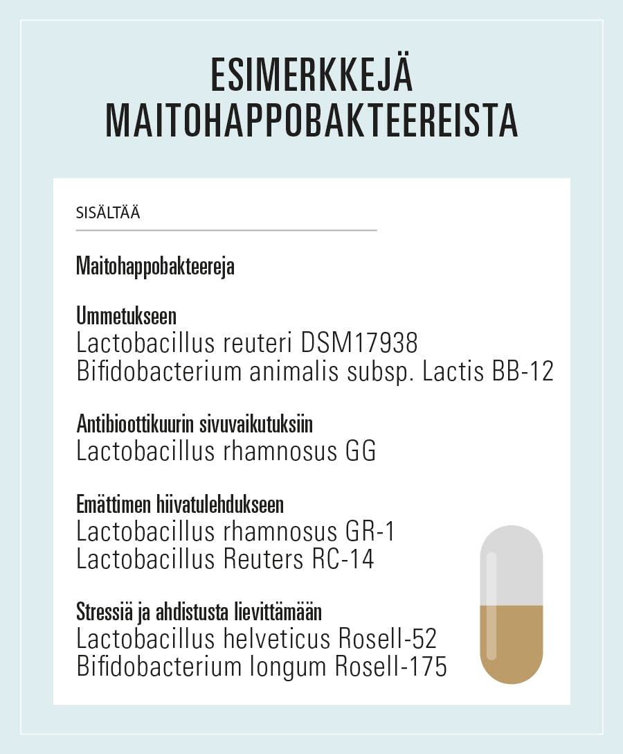 Esimerkkejä maitohappobakteereista.