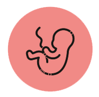 Onko raskaus mahdollinen?