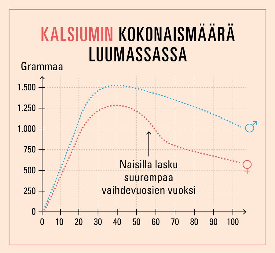 Kaavio, joka näyttää luumassan menetyksen eri ikäisenä