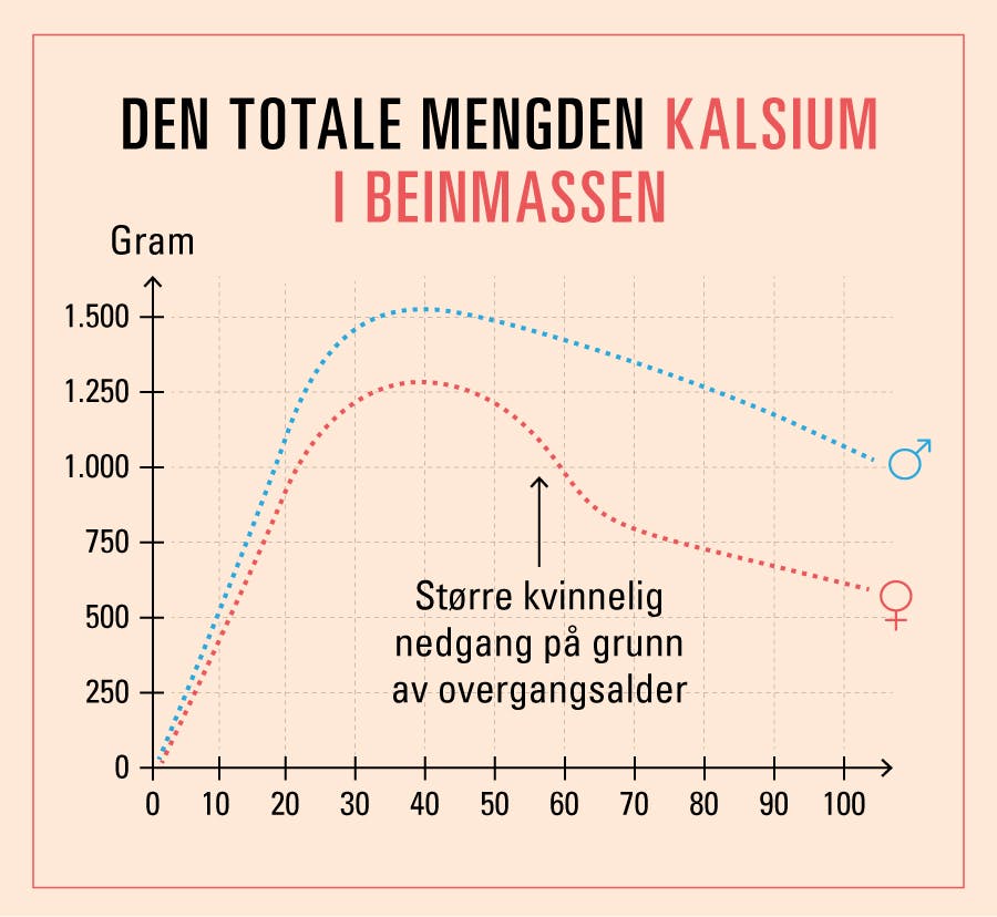 Graf som viser når vi mister beinmasse