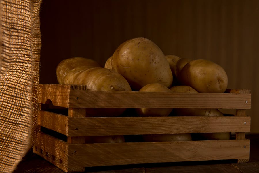 potatis förvarade i matkällare