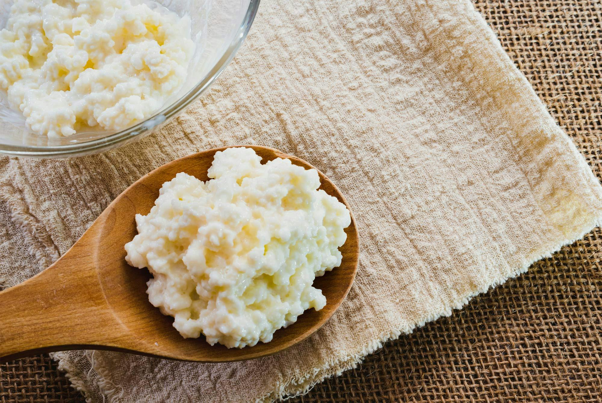 Kefir: Kefirkorn