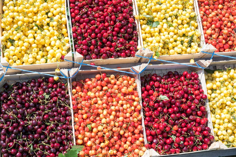 Olika sorters körsbär